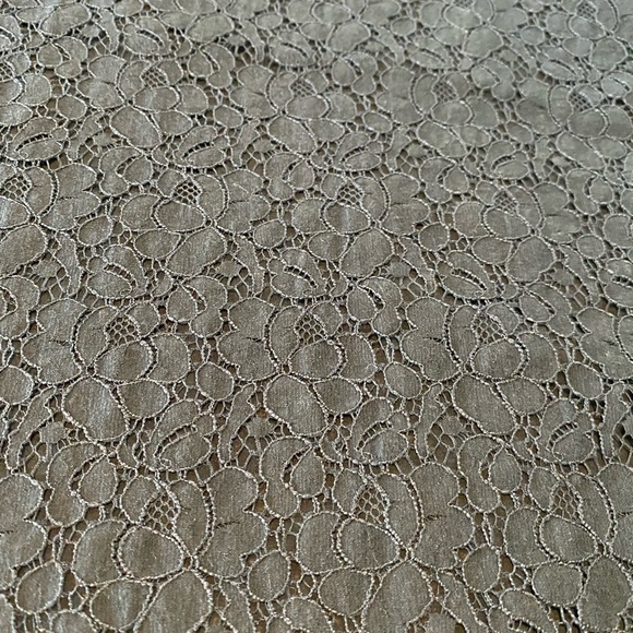 Beautiful Black on Black Lace TALULA tank blouse, size XSmall Aritzia - Picture 4 of 6